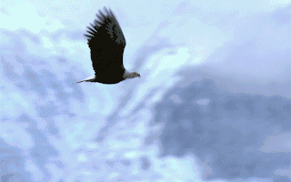 出口量第一自主汽车品牌奇瑞通过港交所聆讯；MiniMax全球发布音乐生成模型；追觅汽车德国建厂寻址｜一周大公司出海动态